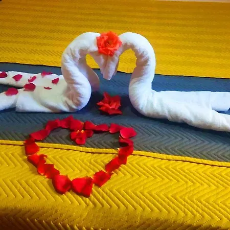 Happy House Konukevi