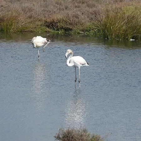 Happy House 게스트하우스 4*